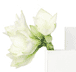 Brides Guide To Wedding Planning