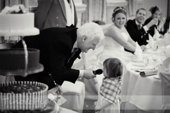 toddler at wedding toddler at wedding