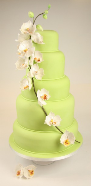 Pale green tiered wedding cake with orchids 