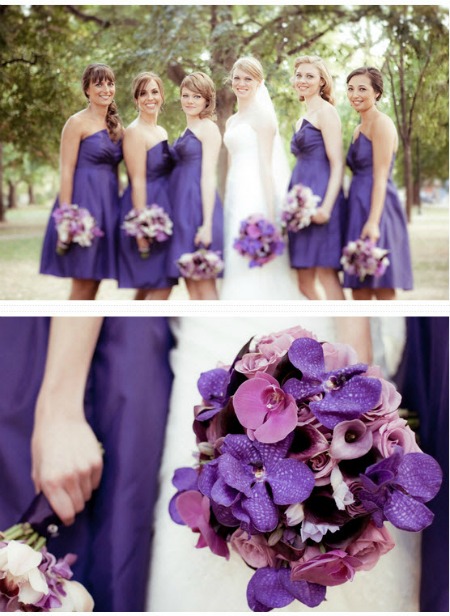 bride with bridesmaids in purple dresses