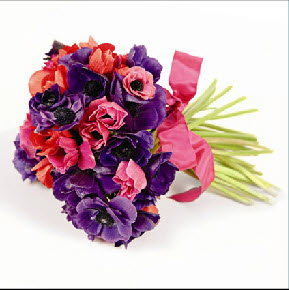 pink and purple anenome bouquet pink and purple anenome bouquet