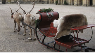 reindeer and sleigh