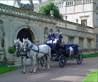 Wedding horse and carriage