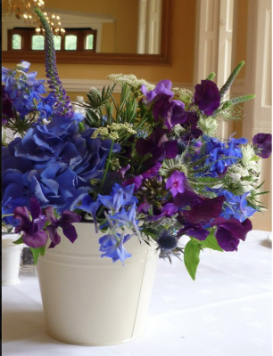 blue flowers in bucket 
