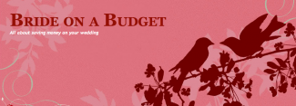 bride on a budget blog 