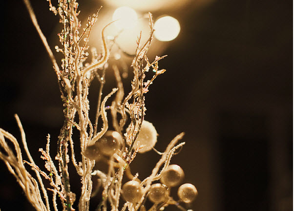 Berries at winter wedding 