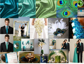 Peacock wedding theme moodboard