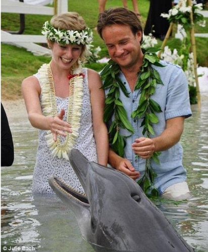 wedding couple with dolphins