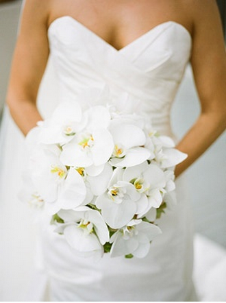 white orchid bridal bouquet 