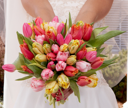 pink and red tulips in spring wedding bridal bouquet 