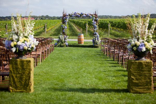 summer vineyard wedding scene