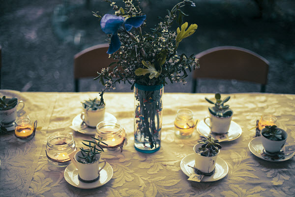 wedding succulents