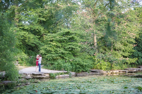 Lily Pond, Chicago IL