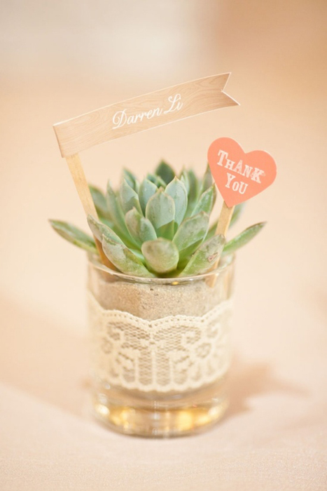 DIYPlantFavor
