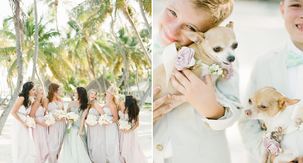 Dogs at your wedding